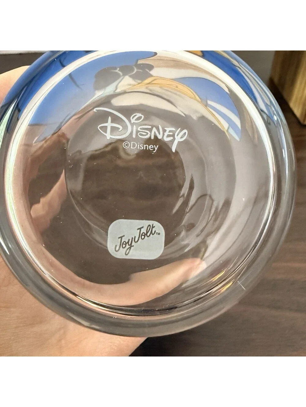 JoyJolt Disney Donald Duck Peek A Boo 16 oz Can Glass Tumbler Drinking Glass